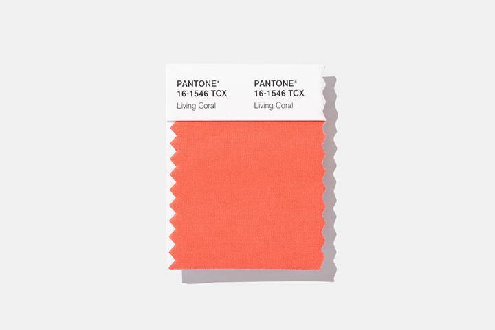 Living Coral: Chosen Color of the Year 2019